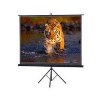 Speed-X Projector Screen 120 inch Tripod Portable 6x8 Feet 4:3MW